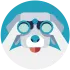 Kuvasz icon