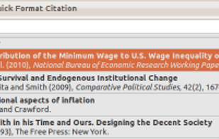 Microsoft Word Plugin for Zotero screenshot 1