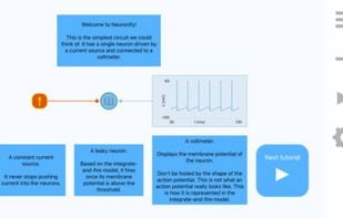 Neuronify screenshot 1