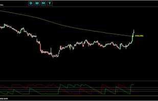 Chart Geany screenshot 1