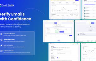 EmailVerify.io screenshot 2