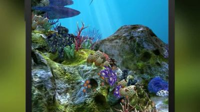 3D Aquarium Live Wallpaper HD: App Reviews, Features, Pricing & Download |  AlternativeTo