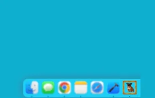 DockLocket screenshot 1