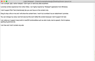 Light Notepad screenshot 1