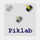 Piklab icon