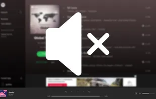 SpotiShush screenshot 1