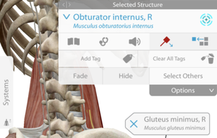 Human Anatomy Atlas 2020 screenshot 1