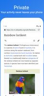 Pluma Browser screenshot 2