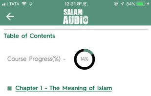 Salam Audio screenshot 3