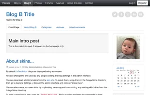 b2evolution screenshot 1