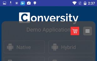In-App Live Chat SDK Demo screenshot 1