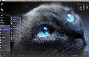 Amikit screenshot 2