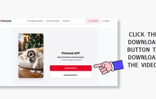 Pinterest Video Downloader page