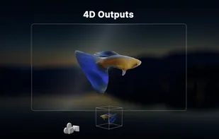 Stable Video 4D screenshot 2