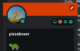 Discord Status while Playing