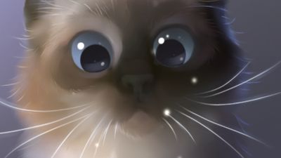 Kiten Art Wallpaper APK for Android Download