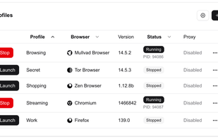 Donut Browser screenshot 1