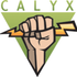 Calyx Meet icon