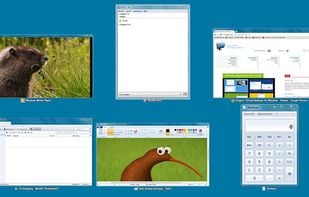 Window catalog
