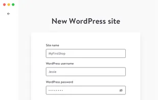 DevKinsta screenshot 1