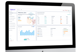 Diginyze screenshot 3