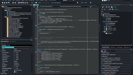 C++ Builder screenshot 1