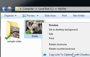 Shell Extension for Explorer