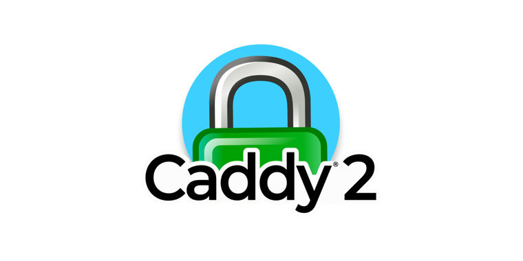 Caddy 2.8.0 released with ARI and HTTP/3 proxy support, and several breaking changes image