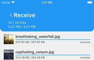 LiberDrop screenshot 2