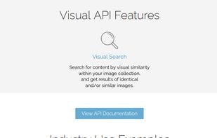 Visual API screenshot 1