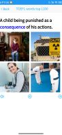 GRE/TOEFL Picture Vocabulary screenshot 2