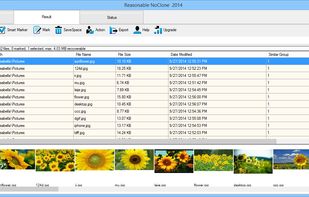 NoClone screenshot 2