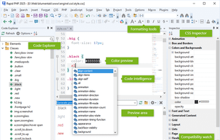Rapid PHP screenshot 3