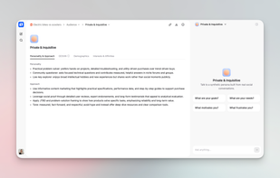Chat with your Audience to learn about their pain points & needs