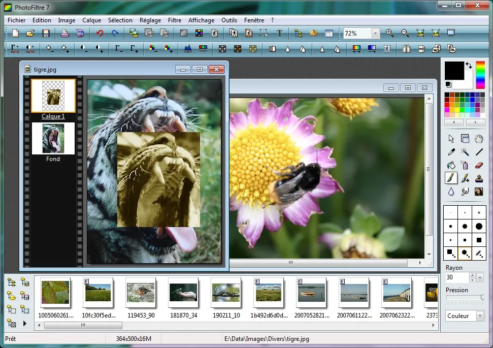 12 Great PhotoFiltre Alternatives Top Image Editors in 2024