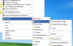 FilerFrog screenshot 1