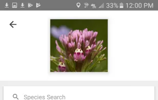 iNaturalist screenshot 1