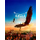 Eagle Flight icon