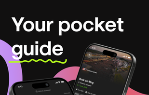 Festiveo screenshot 2