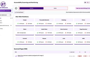 Skynet Accessibility Scanning&Monitoring screenshot 2