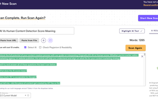 Originality.AI screenshot 1