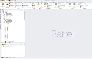 Petrel subsurface screenshot 1