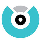 Visualr