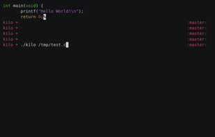 Kilo Text Editor screenshot 1