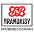 Brandaisy icon