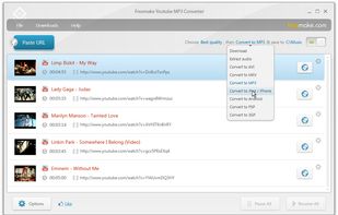 Freemake YouTube Converter screenshot 1