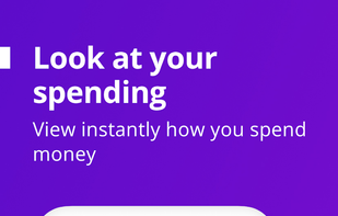 Mavio: Expense Manager screenshot 2