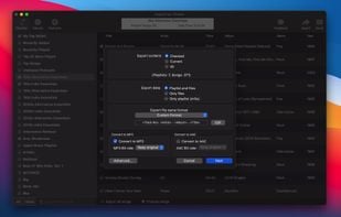 Export for iTunes screenshot 2
