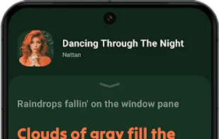 Lark Player screenshot 2