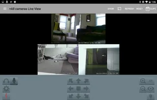 Blue Iris screenshot 1